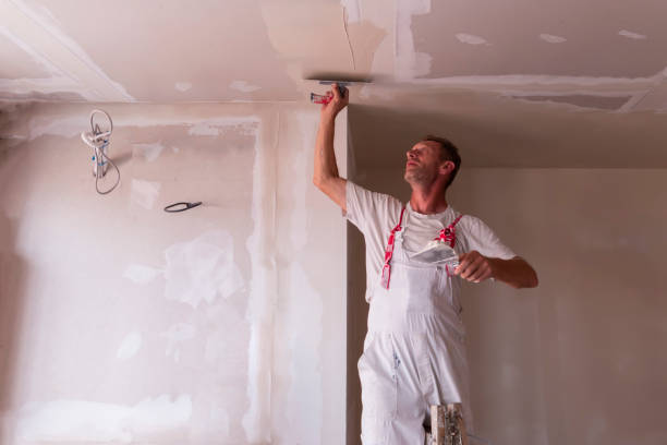 Best Drywall Sanding and Smoothing  in Kenwood Estates, FL